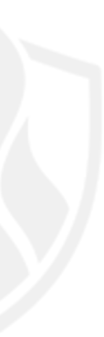 Faint shield and flame watermark